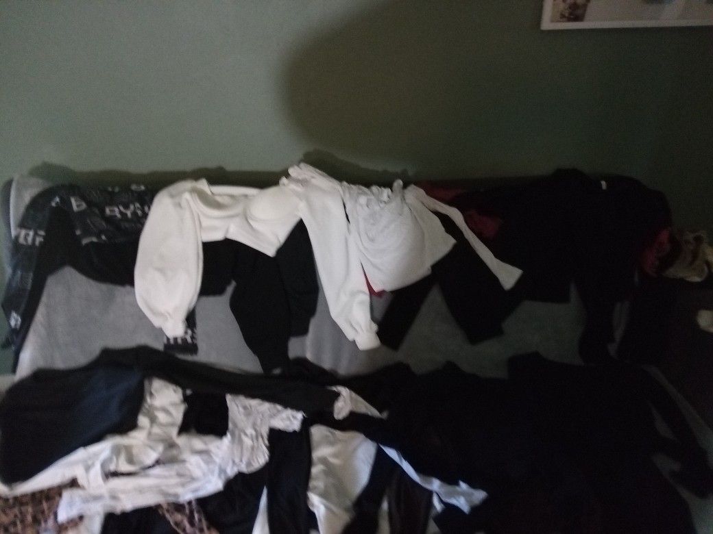 Long Sleeve Crop Tops 1.50 Each
