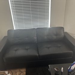 Couches In Great Shape 