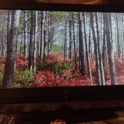 32"Westinghouse Tv Flat $70.00