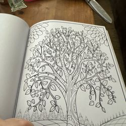 Adult Coloring Book Nature Scenes