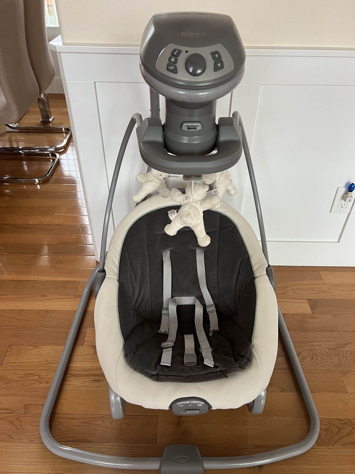 Graco Duet Swing And Rocker With Removable Swing Seat