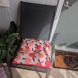 Lawn chair With Pillow And Table
