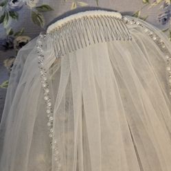 Wedding Veil, matching Garter and 2 Crystal Combs