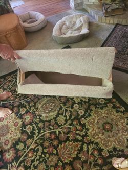 Cat Scratch And Hide Box