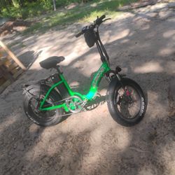 Electric Bicycle 