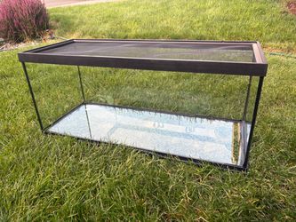 Reptile tank