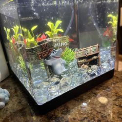 1.5 Gallon Fish Tank 