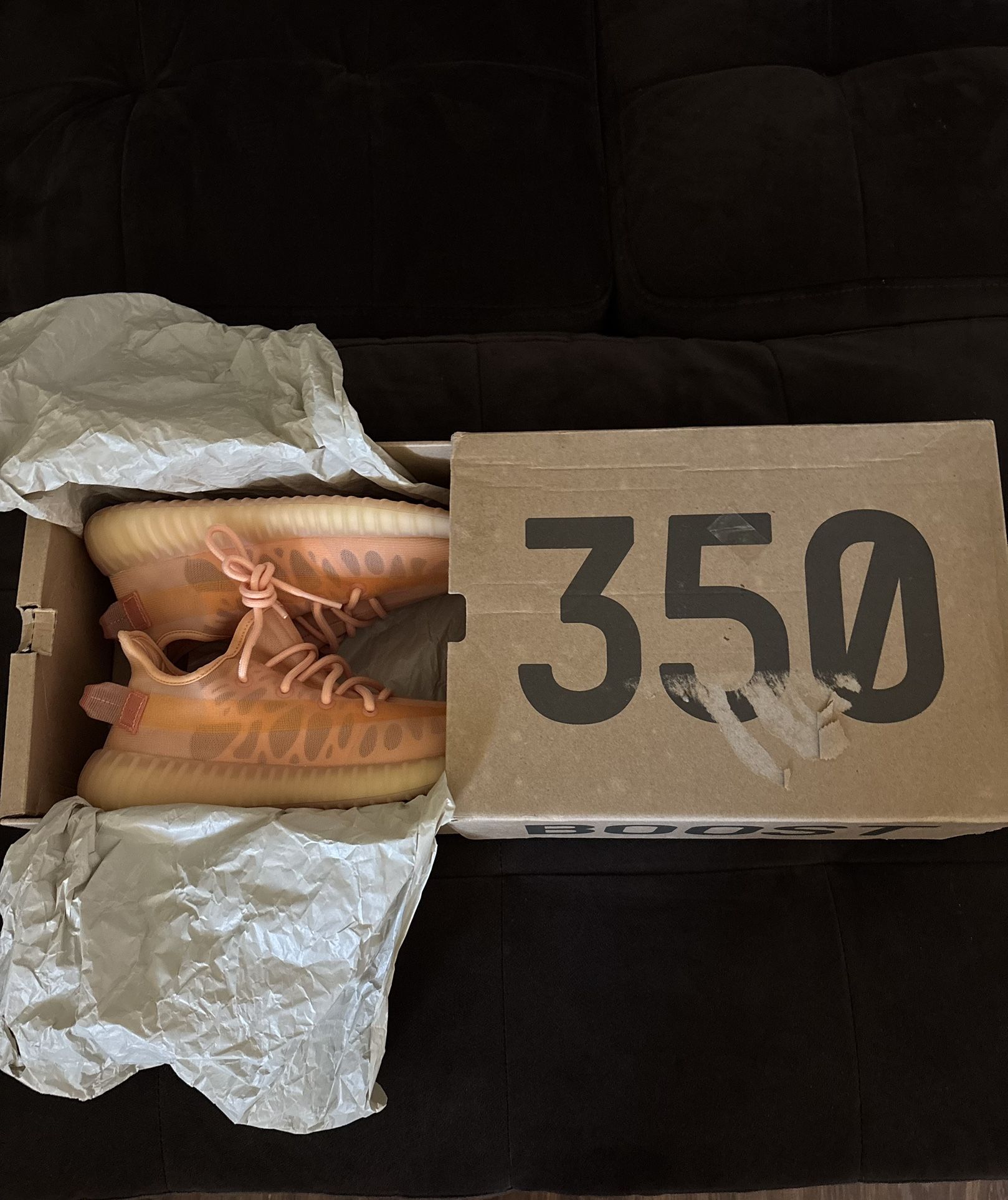 adidas Yeezy Boost 350 V2 Mono Clay