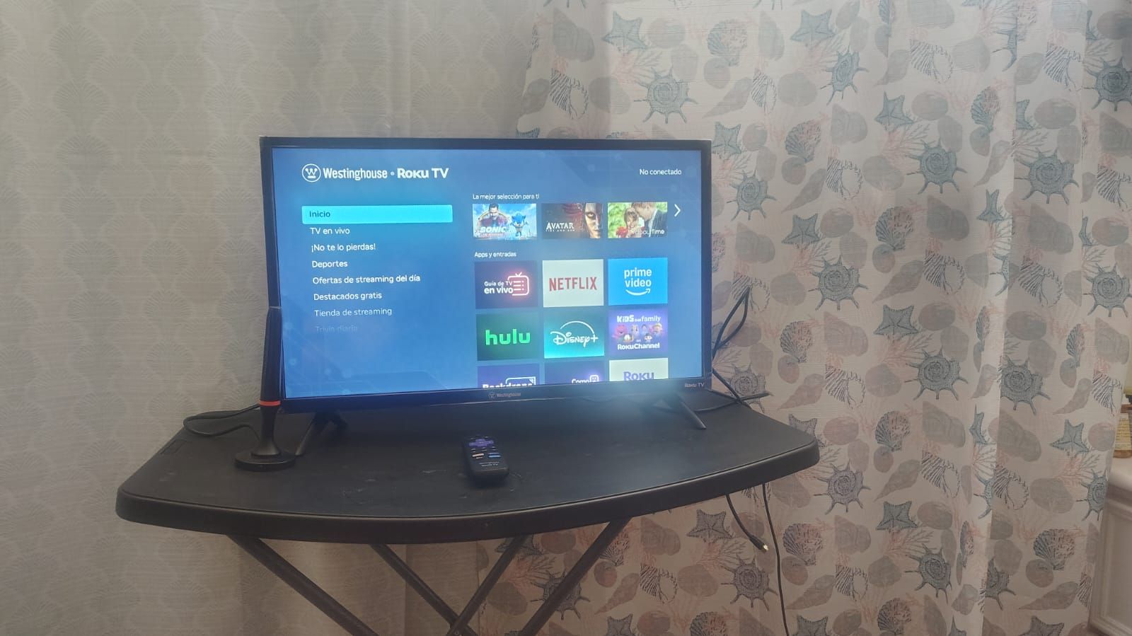 Roku 24"