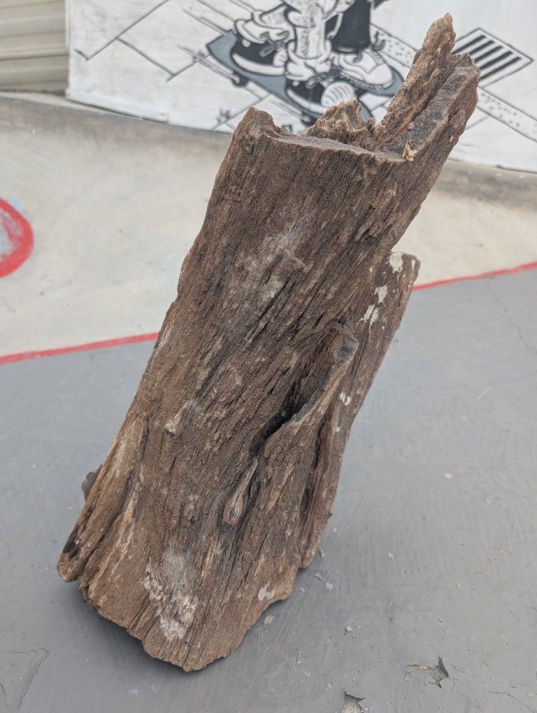 Petrified Wood Log 44 lb. Huge Yard Art Mineral Fossil Rock