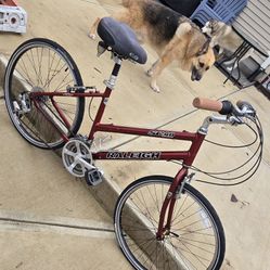 Raleigh Bike 