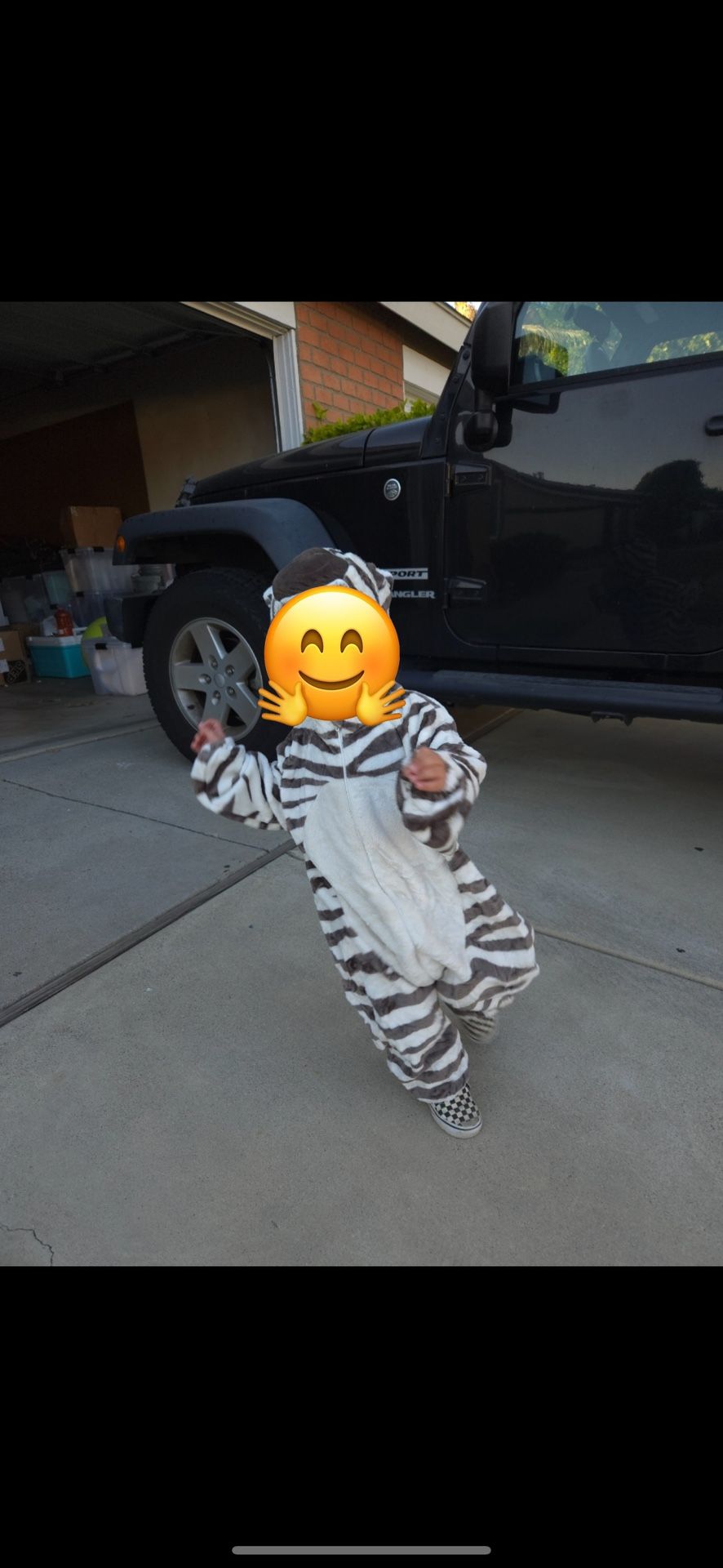 Zebra Costume - Toddler 3T/4T