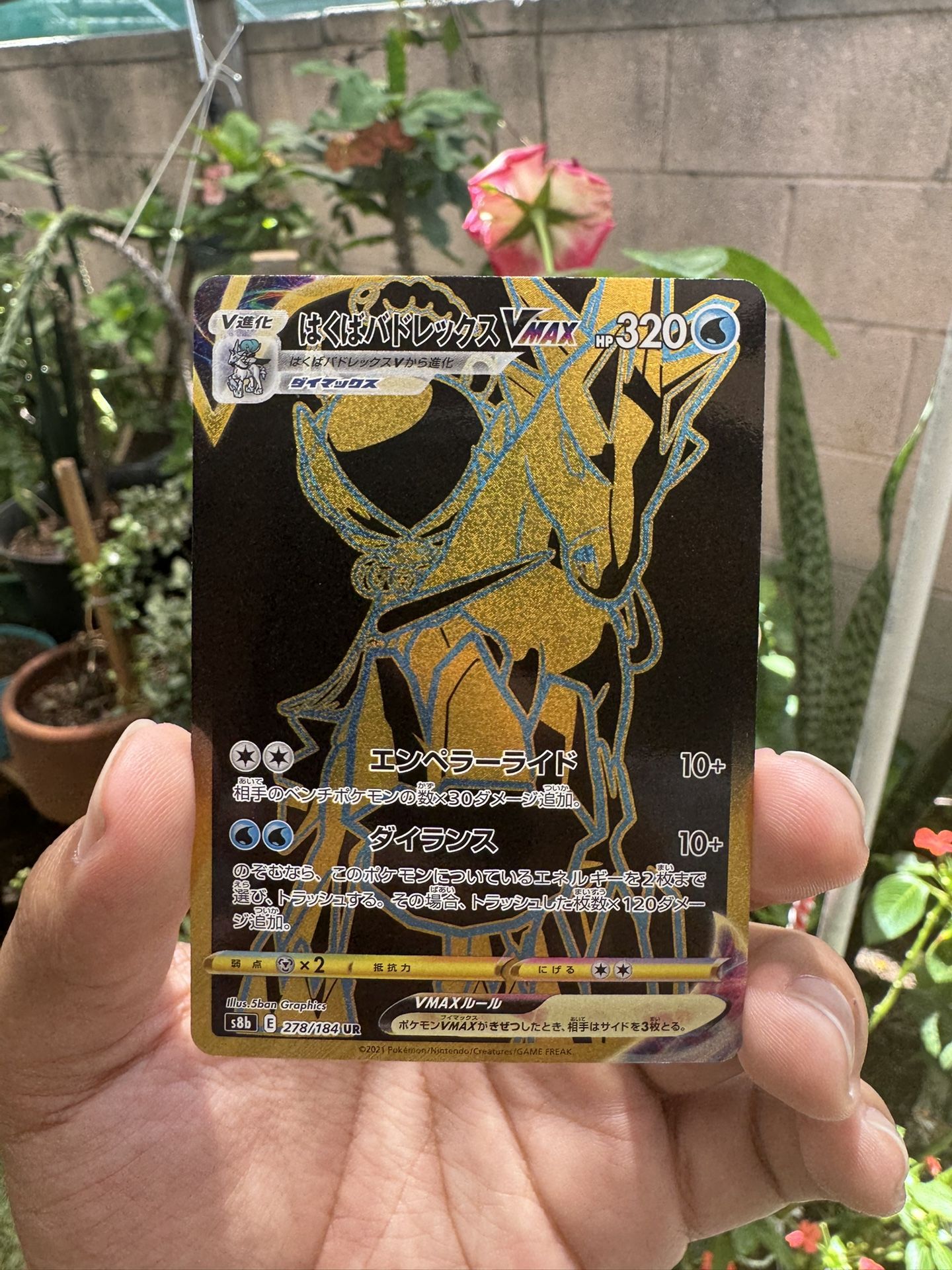 Pokemon Singles - Ice Rider Calyrex VMAX (JP)