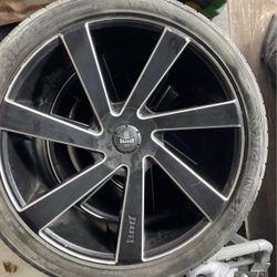 RIMS 