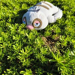 Baby Stuffed Animals