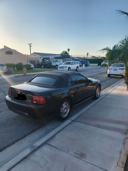 1999 Ford Mustang