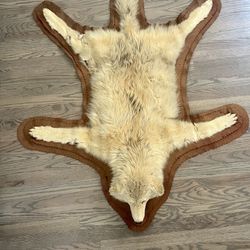 Coyote Soft Taxidermy Rug  