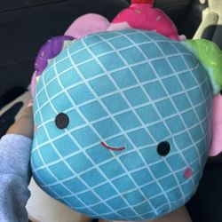 squish mallow