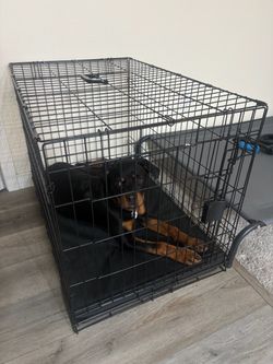 Dog kennel