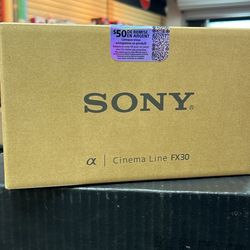 Sony FX30 