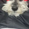 Sark
