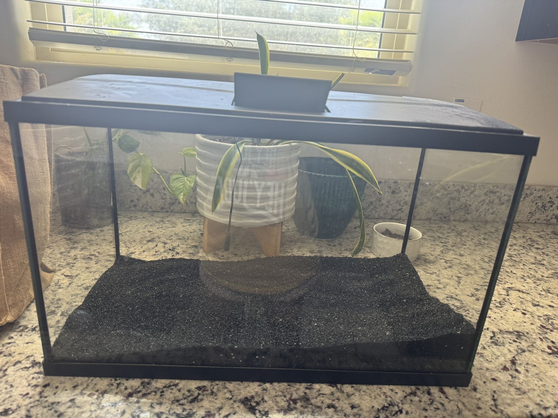 20 Gallon Fish Tank
