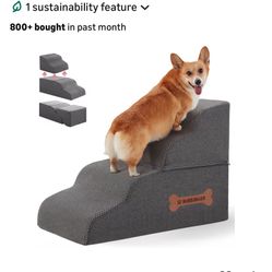 dogs stairs