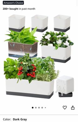 Self Watering Planter Set of (6)