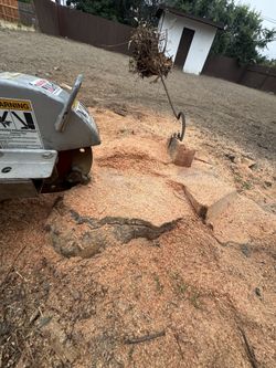 Stump Grinder And More