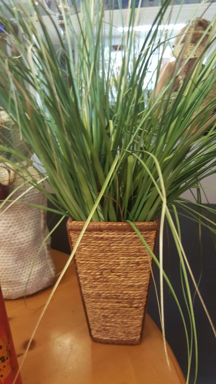 Fake silk plant. Pretty.