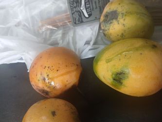 mangos