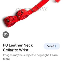 Neck To Wrist Restraint