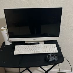 All in one Computer/ DELL