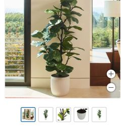 Faux 1.9 m (6.5 ft.) Slim Fig Tree $180
