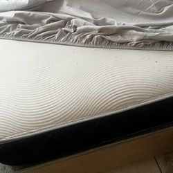 Full mattress And box spring 