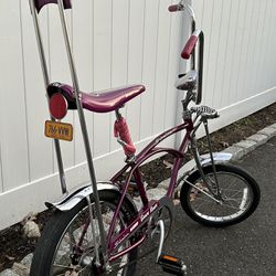 1999  Schwinn  Grape Krate Bicycle 