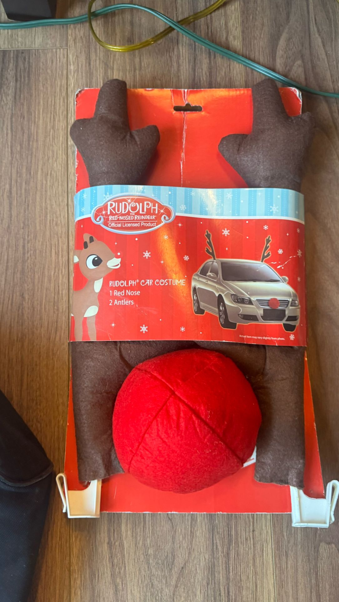 New! Rudolph car costume