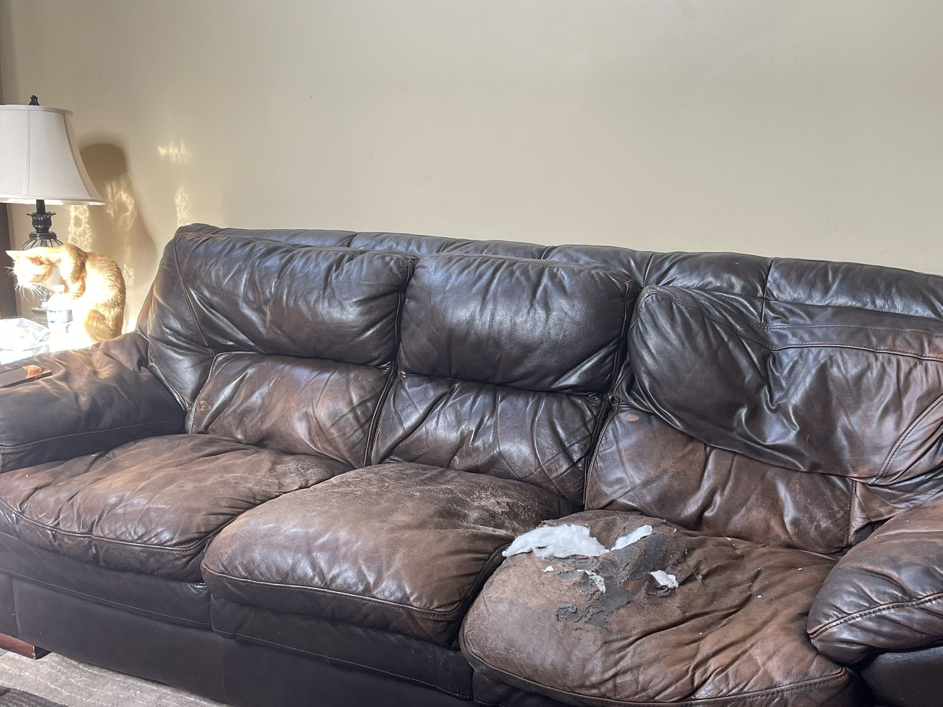 Free Couches! 