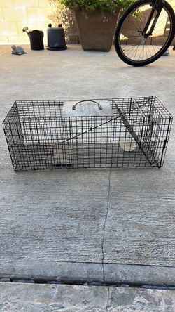 Animal trap
