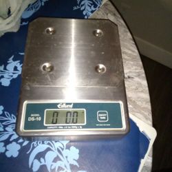 Culinary Digital Scale