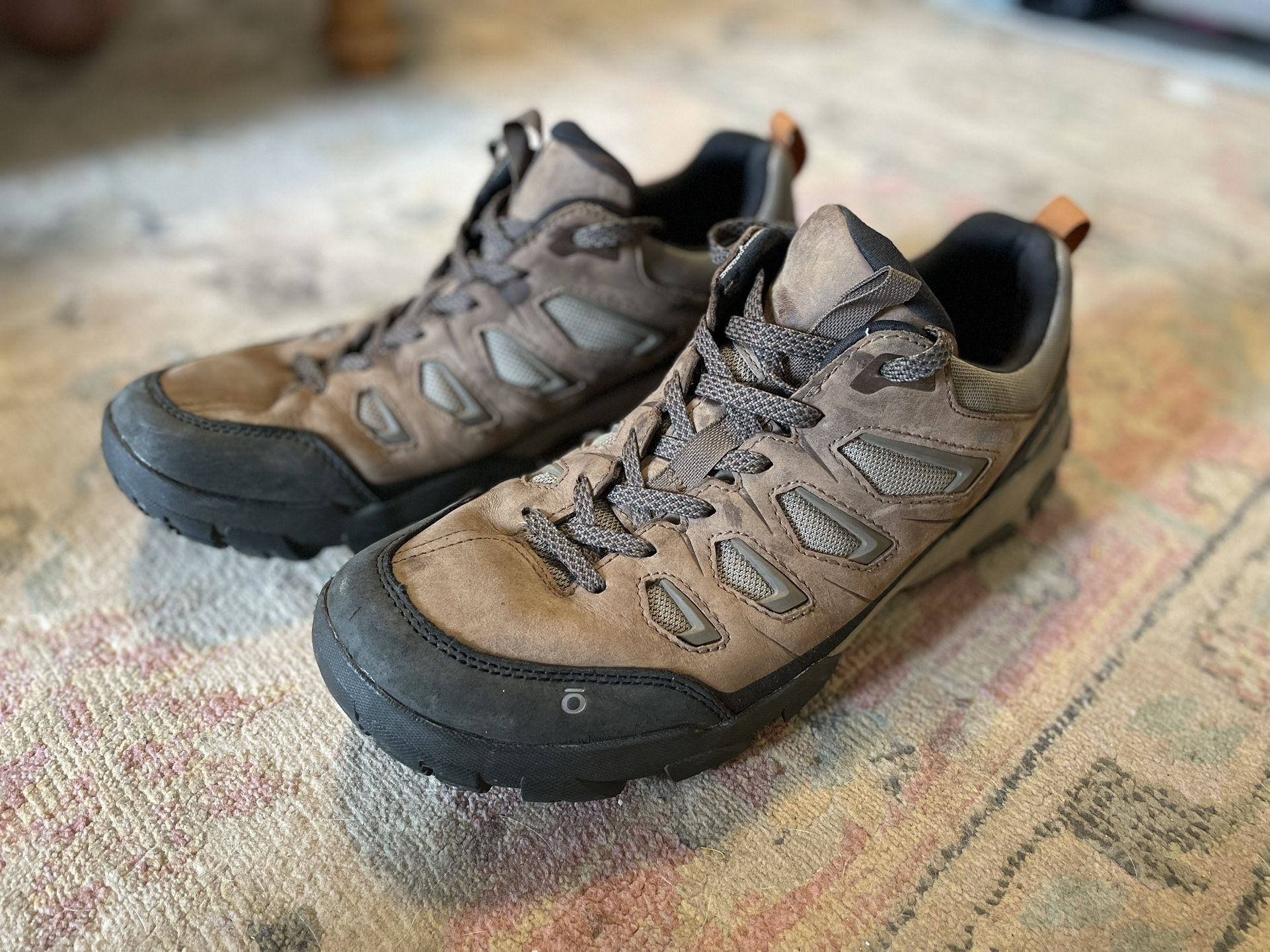 Oboz Hiking Boots (Men’s Size 11)