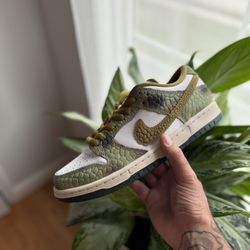 Nike Dunk Low Chameleon Sz 7.5