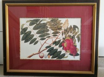 Large Art Work Of Tropical Fruits