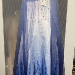 frozen 2 elsa costume Size 140  In USA 9/10 