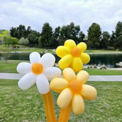 Balloon Flowers