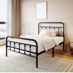 Base Twin Y Cochon Nuevo 