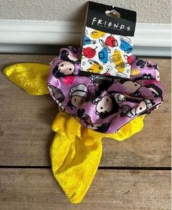 NEW Friends Set of Two Hair Scrunchies just $3