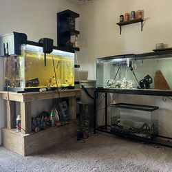 Aquarium Tanks, Supplies, Filters, Heaters