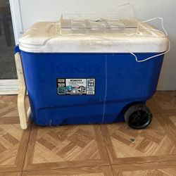 Igloo Cooler