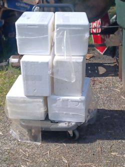Styrofoam coolers